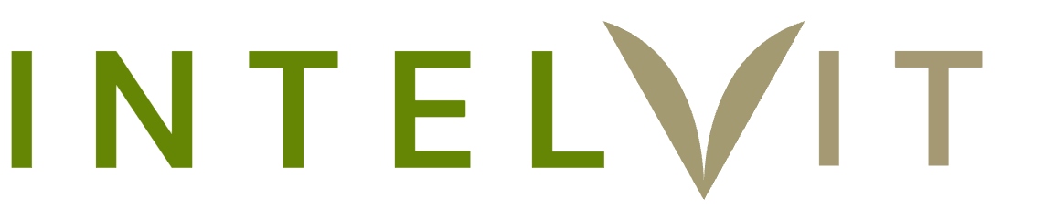 IntelVit